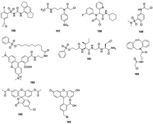 Figure 13. GSTO inhibitors. 156, 1-(1,2,3,5,6,7-hexahydro-s-indacen-4-yl)-3-[2-fluoro-5-oxiranylbenzenesulfonyl]urea (CRID 2); 157, N-[3-[(2-chloroacetyl)(4-nitrophenyl)amino]propyl]-2,2,2-trifluoroacetamide (ML175); 158, 2-chloro-N-(2-(cyclohexylamino)-2-oxo-1-(pyridin-2-yl)ethyl)-N-(3-fluorophenyl)acetamide (KT53); 159, 2-chloro-N-(4-chloro-3-(N,N-dimethylsulfamoyl)phenyl)acetamide (C1-27); 160, 9-[2-carboxy-4-[[[2-[[oxo-10-[(phenylsulfonyl)oxy]decyl]amino]ethyl]amino]carbonyl]phenyl]-3,6-bis(dimethylamino)xanthylium; 161, N-[1-oxo-3-[(phenylsulfonyl)oxy]propyl]-l-isoleucylglycyl-4,4,5,5-tetradehydro-l-norvalinamide (NJP2); 162, 1-(4-amino-6-chlorohex-1,5-dione)-11,12-didehydro-5,6-dihydro-dibenz[b,f]azocine; 163, 5-chloromethylfluorescein diacetate; 164, 5-bromomethylfluorescein.