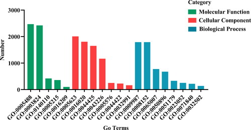 Figure 2. GO classification of DEGs. The x-axis represents the GO functional classification, and the y-axis represents the number of annotated genes. Different colors indicate the functional classification of different genes.