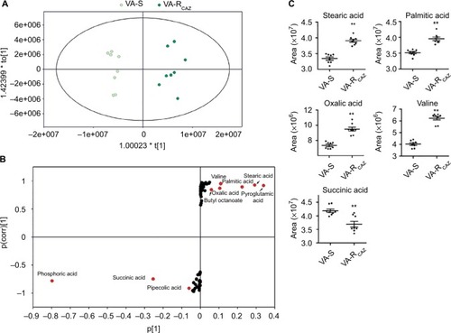 Figure 4 Metabolites up- or downregulated in VA-RCAZ..Notes: (A) Principal component analysis of VA-S and VA-RCAZ. Each dot represents the technologic replicate analysis of samples in the plot. (B) S-plot generates from orthogonal partial least-square discriminant analysis. Predictive component p[1] and correlation p(corr)[1] differentiate VA-S and VA-RCAZ. Each dot represents metabolites and candidate biomarkers are highlighted in red dot. (C) Candidate biomarkers by predictive component p[1], p(corr)[1], and enriched pathways. Results (C) are displayed as mean ± SEM, and significant differences are identified as determined by Student’s t-test. **P<0.01. At least three biologic repeats were carried out.Abbreviations: VA-RCAZ, ceftazidime-resistant Vibrio alginolyticus; VA-S, ceftazidime-sensitive Vibrio alginolyticus.