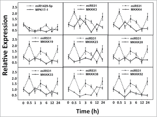 Figure 1. Expression patterns of predicted miRNA: target pairs under Drought stress. Relative expression levels of predicted miRNA: target pairs were analyzed under Drought stress for similar correlation patterns as the control set.