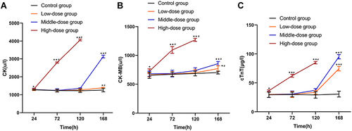 Figure 3 Effect of sodium cyclamate on serum levels of heart enzymes and cardiac troponin of mice. The serum levels of CK (A), CK-MB (B) and cTnT (C) were measured sodium cyclamate-treated at 24h, 72h, 120h and 168h. Values are the mean±standard deviation. *P < 0.05 vs parallel control group; **P < 0.01 vs parallel control group; #p < 0.01 vs 24h in this group. CK, creatine kinase; CK-MB, creatine kinase-MB; cTnT, cardiac troponin T.