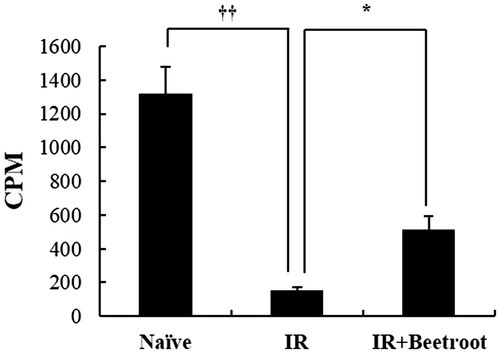 Figure 4. The effect of beetroot on the proliferation of splenocytes. Mice administered with beetroot extract were exposed to 7 Gy WBI and splenocytes were isolated from mice in experiment groups 10 days after irradiation. Proliferation of splenocytes was measured using the incorporation of 3H-thymidine. Data shown are representative of three independent experimnets and are represented as means ± SEM of radioactivity-count per minute (cpm) (*p < .05, ††p < .01).