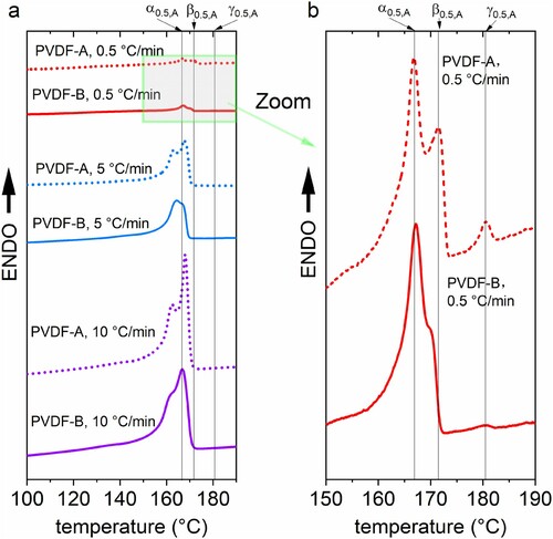 Figure 2. (a) Differential scanning calorimetry patterns of the samples for different thermal rates and molecular weights, (b) DSC pattern of the 0.5 °C/min cooled sample. Corresponding polymorphous phase assignments are inserted and referenced for PVDF-A and 0.5 °C/min as α0.5,A, β0.5,A, and γ0.5,A.