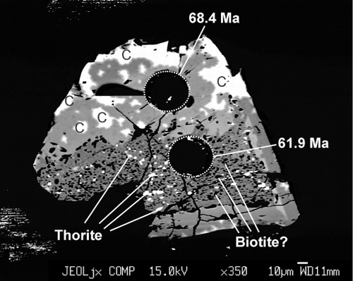 Figure 5 Backscatter electron image of a zircon grain previously targeted for LA-ICP-MS analysis. LA-ICP-MS spots and the age of the specific spot are shown in pink. Bright areas as a result of secondary electron charging indicated by ‘C’. The image shows a coarse grain with inclusion-rich regions, examples of thorite (bright phases) and presumed biotite (dark phases) inclusions are indicated. Scale in figure.