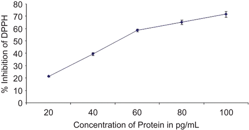 Figure 1.  Radical scavenging activity of partially purified protein by DPPH method.