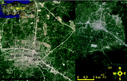 Figure 1. The geographic location of T. tomentosa samples.