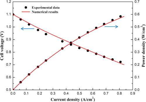 Figure 2. Comparison between the numerical results and experimental data.