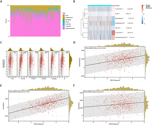 Figure 5 Relationships between FBLN5 and tumor immune microenvironment. (A and B) tumor infiltrating immune cellsanalysed analyesed by Linkedomics database; (C) tumor infiltrating immune cells using SangerBox; (D–F) the relationship between the expression of FBLN5 and infiltration was showed as stromal, immune and ESTIMATE scores, respectively.***p < 0.001.