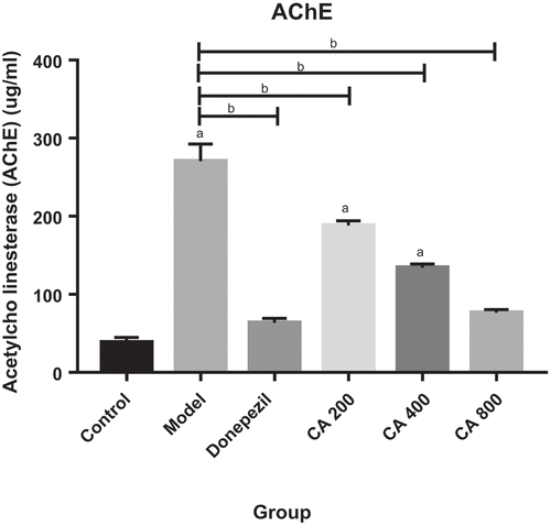 Figure 5. Effect of Centella asiatica on the rat’s brain acetylcholinesterase (AChE) levels. Control (distilled water + normal saline), Model (AlCl3 70 mg/kg. bwt), Donepezil (Donepezil 10 mg/kg + AlCl3 70 mg/kg.bwt), CA 200 (200 mg/kg.bwt + AlCl3), CA 400 (400 mg/kg.bwt + AlCl3) and CA 800 (800 mg/kg.bwt + AlCl3). Data represent mean ± SEM (n = 5), one way ANOVA. a = p < 0.05, Model, CA 200 and CA 400 vs Control group. b = p < 0.05, Donepezil, CA 200, CA 400 and CA 800 vs Model group.