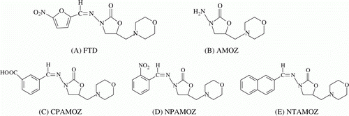 Figure 1.  Chemical structures of (A) FTD, (B) AMOZ, (C) CPAMOZ, (D) NPAMOZ and (E) NTAMOZ.