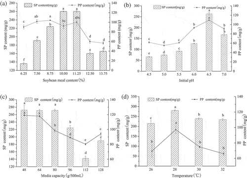 Figure 2. Effects of soybean meal content, initial pH, media capacity and temperature on SP and PP content. SP = soluble protein and PP = polypeptide. Different letters (a-f) indicate significant differences (P < 0.05).Figura 2. Efectos del contenido de harina de soya, pH inicial, capacidad de medios y temperatura sobre el contenido de SP y PP. SP = proteína soluble y PP = polipéptido. Las letras diferentes (a-f) indican la presencia de diferencias significativas (P < 0.05).