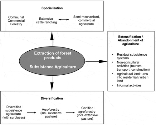 Figure 6. Trajectories of change in Chiquitano productive systems. (Arrows indicate possible directions of change).