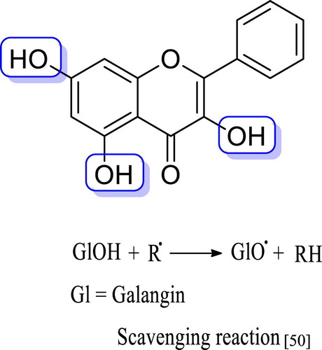 Figure 1. Galangin structure.