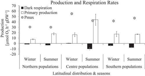 Fig. 6. Primary production and dark respiration rates (µmol O2 h−1 gDW−1) mean ± SE (n = 10) of in situ incubations of Corallina officinalis across its distribution in the North-east Atlantic in summer and winter. Pmax added for comparison.