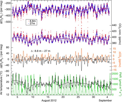 Fig. 3 δ(O2/N2) and CO2 concentration observed at heights of 8.8 (red dots) and 27 m (blue dots) for the period 4 August–4 September 2012. Smoothing spline curves fitted to the observed data and their 24-hour running mean values are also shown. Δδ(O2/N2) (ΔCO2), representing the difference of the smoothing spline curve of the δ(O2/N2) (CO2 concentration) at 8.8 m from that at 27 m, is also plotted by black (orange) line, together with air temperature (black line) and PAR (green line) at 25 and 19.5 m heights, and 24-hour running mean values of air temperature are also plotted.