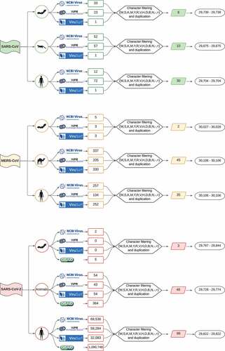 Figure 1. Flowchart showing approach to data collection, curation process and range of sequence lengths for the three Beta-CoVs analysed. First, raw viral sequences are retrieved from NCBI Virus, ViPR, ViruSurf (SARS-CoV and MERS-CoV), and further GISAID (SARS-CoV-2). Afterwards, data are labelled by host and, upon careful filtering and curation methods, the most representative viral sequences comprising each non-redundant host dataset.