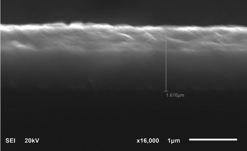 Figure 2. Cross-section of monocrystalline silicon substrate coated with aluminium.