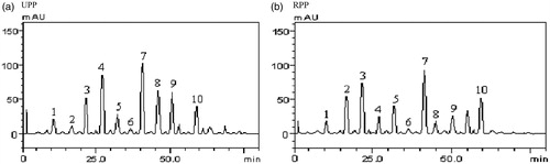 Figure 2. HPLC chromatograms of UPP and RPP. Peaks 1–10 represent gallic acid, catechin, chlorogenic acid, caffeic acid, ellagic acid, epicatechin, rutin, quercitrin, quercetin and kaempferol.