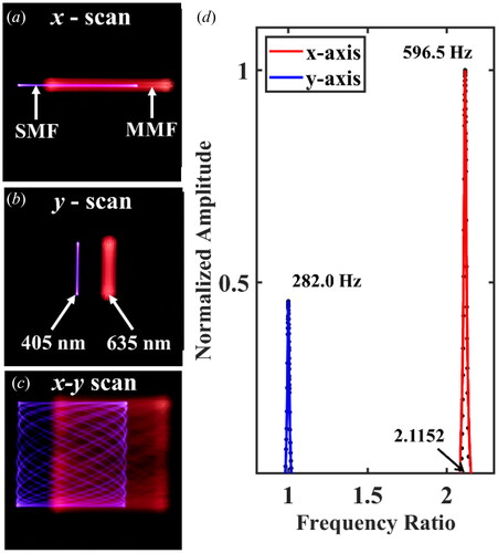 Figure 5. Linear (a) x-axis and (b) y-axis scanning lines showing clear lines without mechanical cross-coupling from both fibre cores. The SMF and MMF core were coupled with 405 nm and 635 nm laser respectively. (c) Clear Lissajous scan from both fibre cores. (d) Measured frequency response curve of the mixed-mode fibre cantilever. fhigh= 596.5 Hz (x-axis) and flow = 282.0 Hz (y-axis).