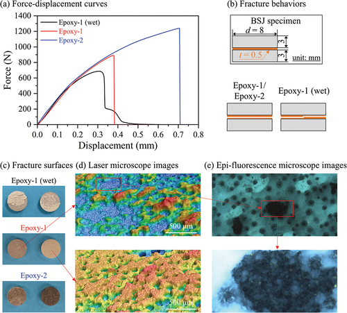 Figure 6. (a) force – displacement curves of three types of butt joint specimens. (b) illustration of the fracture behaviors of adhesive layers. (c) photographs of fracture surfaces. (d) laser microscope images of fracture surfaces. (e) epi-fluorescence microscope images of fracture surfaces.