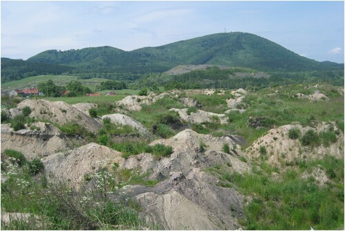 Figure 4. Bootleg mining area in the western part of the city, with large spoil tips behind. Bedrock elevations form the skyline.