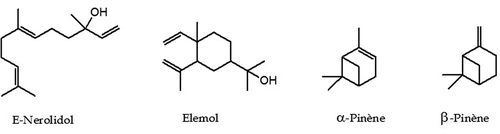 Figure 3. Structures of the most abundant compounds identified in. T. luteum subsp. flavovirens EO