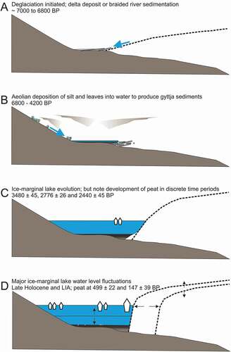 Figure 3. Conceptual model of local environmental history and specifically of ice-marginal lake evolution, as interpreted from the presence and age of peat layers found within terrestrial and glaciolacustrine sediments within a lake basin on the northern margin of Russell Glacier, west Greenland