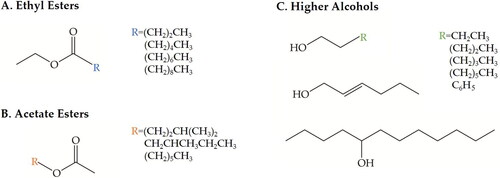 Figure 1. VOCs of interest in this study include ethyl esters (A), acetate esters (B), and higher alcohols (C). Specific hydrocarbon (R) groups are color coded. Ethyl esters (A) observed in apple juices or ciders were ethyl butanoate [R=(CH2)2CH3], ethyl hexanoate [R=(CH2)4CH3], ethyl octanoate [R=(CH2)6CH3], and ethyl decanoate [R=(CH2)8CH3]. Acetate esters (B) were 3-methyl-1-butyl acetate [R=(CH2)2CH(CH3)2], 2-methyl-1-butyl acetate [R = CH2CHCH3CH2CH3], and hexyl acetate [R=(CH2)5CH3]. Lastly, higher alcohols (C) contributing to the aroma profiles were 1-butanol [R = CH2CH3], 1-pentanol [R=(CH2)2CH3], 1-hexanol [R=(CH2)3CH3], 1-octanol [R=(CH2)5CH3], 2-phenylethyl alcohol [R = C6H5], 2-hexen-1-ol, and 5-dodecanol.