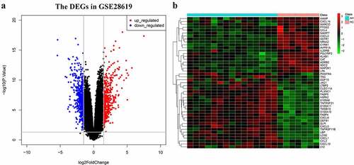 Figure 1. (a) The volcano plot of DEGs in GSE28619 dataset and (b) the hierarchical clustering heatmap of IRDGs. DEGs: differentially expressed genes; IRDGs: immune-related differential genes.