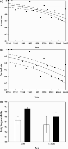 Figure 2 Lesser Black-backed Gull survival and resighting rates based upon the preferred model (). The top panels show survival rates through time for (a) males and (b) females: solid lines are estimated survival rates, dashed lines represent 95% confidence limits and filled circles represent point estimates for individual years from the equivalent model with full time dependence (): the latter plotted at the first year of the pair between which survival was estimated. Resighting rates (c) with 95% confidence limits are separated for males and females, and birds seen in the previous year (filled bars) or not seen in the previous year (open bars).