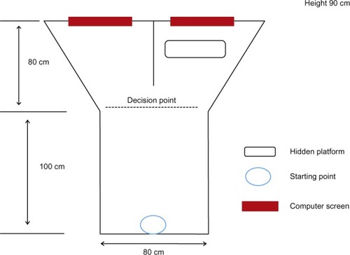 Figure 1 Design of the visual water box for behavior testing. The box was divided into three parts, ie, a swimming box and two decision chambers. A computer screen at the end of each decision chamber was used to present visual cues. In the right decision chamber, there was a hidden platform as the end point of the swimming test.