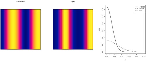 Figure 2. Model 2: Spatial covariate (left), first-order intensity function of the Poisson point process (center), and pair correlation function of the Thomas cluster point processes with parent points intensity proportional to λ(x) and μ=5.