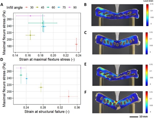 Figure 4. A: texture map (fracture strain vs fracture stress) of 3D-printed samples varied in infill angles. B: DIC strain map of a 3D-printed sample with 30° infill angle at fracture point. C: DIC strain map of a 3D-printed sample with 90° infill angle at fracture point. D: texture map (failure strain vs fracture stress) of 3D-printed samples varied in infill angles. E: DIC strain map of a 3D-printed sample with 30° infill angle at failure point. F: DIC strain map of a 3D-printed sample with 90° infill angle at failure point. The heatmap represents the strain changes with respect to the undeformed image of each sample.