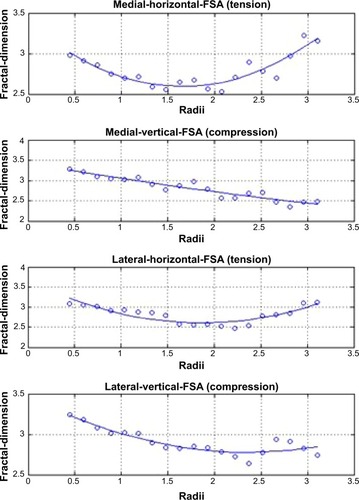 Figure 3 Representative fractal signature curves, demonstrating fractal dimensions at the tibial cortex over a range of trabecular widths from 0.4 to 3.0 mm.