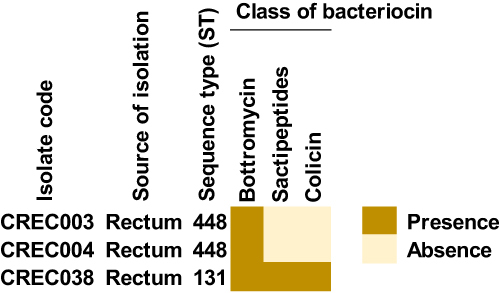 Figure 5 Presence of bacteriocin-encoding genes in blaNDM-1-harboring CREC isolates.