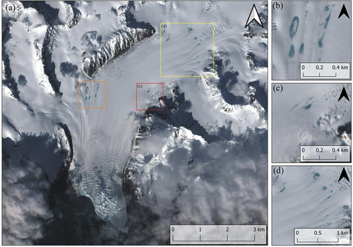 Figure 4. (A) Sentinel-2 RGB image of the lower ablation area of Blomstrandbreen acquired on 14/06/2016, the three main areas where supraglacial lakes (SGLs) form are highlighted by boxes and are shown in panels (b), (c), and (d). (b) SGLs which form in longitudinal foliations created as a result of a tributary glacier flowing into the main branch of Blomstrandbreen. (c) Small SGLs on the eastern margin. (d) a swathe of SGLs which form in longitudinal foliations below the main crevasse field on Blomstrandbreen.