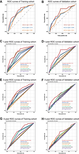 Figure 3 The predictive performance of the nomogram is better than that of traditional prognostic factors. (A). AUC of time-dependent ROC curves verified the prognostic accuracy of the nomogram in the training cohort. (B). AUC of time-dependent ROC curves verified the prognostic accuracy of the nomogram in the validation cohort. (C and D). AUC of ROC curves compared the prognostic accuracy for 1-year survival of the nomogram and traditional prognostic factors in the training cohort and validation cohort. (E and F). AUC of ROC curves compared the prognostic accuracy for 3-year survival of the nomogram and traditional prognostic factors in the training cohort and validation cohort. (G and H). AUC of ROC curves compared the prognostic accuracy for 5-year survival of the nomogram and traditional prognostic factors in the training cohort and validation cohort.