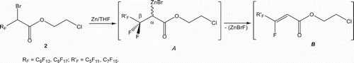 Scheme 4. trans elimination of BrZnF species from compounds 2 at 100°C.