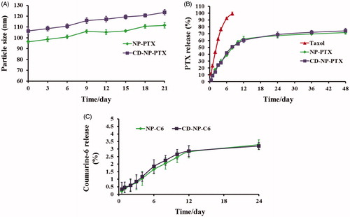 Figure 2. (A) Stability investigation of nanoparticles in vitro with the DMEM containing 20% FBS acting as the medium. (B) Drug release profiles of NP-PTX and CD-NP-PTX with the Taxol® as the control group. (C) In vitro investigation of the coumarine-6 release behavior from NP-C6 and CD-NP-C6.