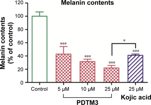 Figure 5 Antimelanogenic effect of PDTM3 in α-MSH-stimulated B16F10 cells.