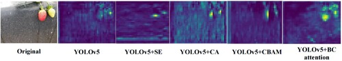 Figure 8. Visualization of the effects of applying different attentional mechanisms to the features of YOLOv5.