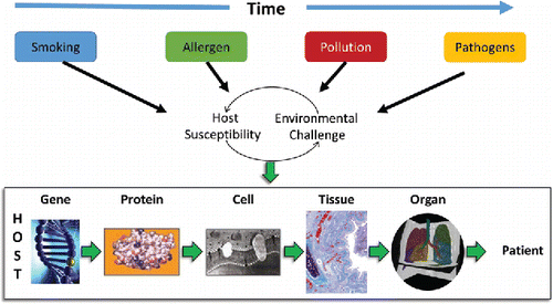 Figure 1. COPD is a heterogeneous complex disease as a consequence of complex host-environment interactions across spatial scales within the host over time.