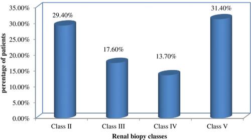 Figure 1 Distribution of renal biopsy classes among JSLE patients with lupus nephritis (n=51).