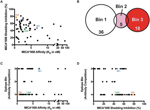 Figure 1. Anti-MICA antibodies binned by traditional epitope competition experiments elicit a range of shedding inhibition. (A-D) 59 anti-MICA antibodies that bind MICA*002, *004 and *008 and MICB*005 were characterized by competition binding studies. Orange depicts antibody clone 1D5, green 13A9 and blue 6E1. (A) Antibodies do not show a correlation between ability to prevent MICA*008 shedding and affinity to MICA*008. (B) Epitope binning by array-based SPR (Wasatch) competition of anti-MICA antibodies categorizes them into three distinct MICA*008 epitope bins. (C) The three epitope bins determined by antibody competition do not correlate to MICA*008 affinity. (D) The anti-MICA antibodies show a correlation between MICA*008 epitope bin and ability to inhibit shedding. Bin 1 contains the anti-MICA antibodies that inhibit shedding the most, while bin 3 contains those that inhibit shedding the least.