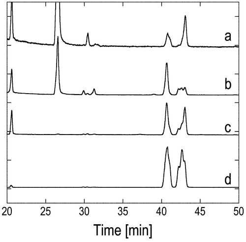 Fig. 2. Chiral GLC charts of stereocontrolled and uncontrolled products 4 derived from industrial VK1. (a) (4S)-enriched 4 derived from l-proline-catalyzed reaction, (b) (4R)-enriched 4 derived from d-proline-catalyzed reaction, (c) (4RS)-4 derived from VK1, and (d) stereoisomeric mixture of 4 prepared in Scheme 3.