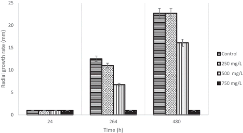 Figure 4. Commercial-grade vanillin concentration effect on radial growth rate on A. alternata strains at three different times.Figura 4. Efecto de la concentración de vainillina de grado comercial sobre la tasa de crecimiento radial de la cepas de A. alternata en tres tiempos diferentes.