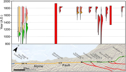 Figure 3. Space and time diagram showing the most recent earthquake (red), penultimate (yellow) and antepenultimate (green) earthquake age probability density functions derived from the Bayesian age modelling of trench stratigraphy and 14C dates.