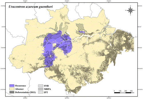 Figure 127. Occurrence area and records of Uracentron azureum guentheri in the Brazilian Amazonia, showing the overlap with protected and deforested areas.