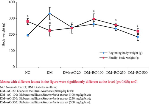 Figure 1. The effect of lyophilized fruit extract of sumac on the body weight of rats >21 d of treatment.