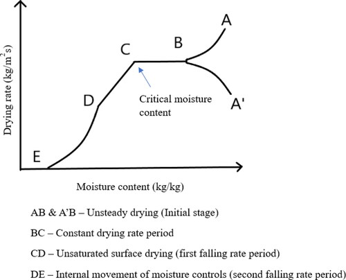 Figure 14. Drying curve.